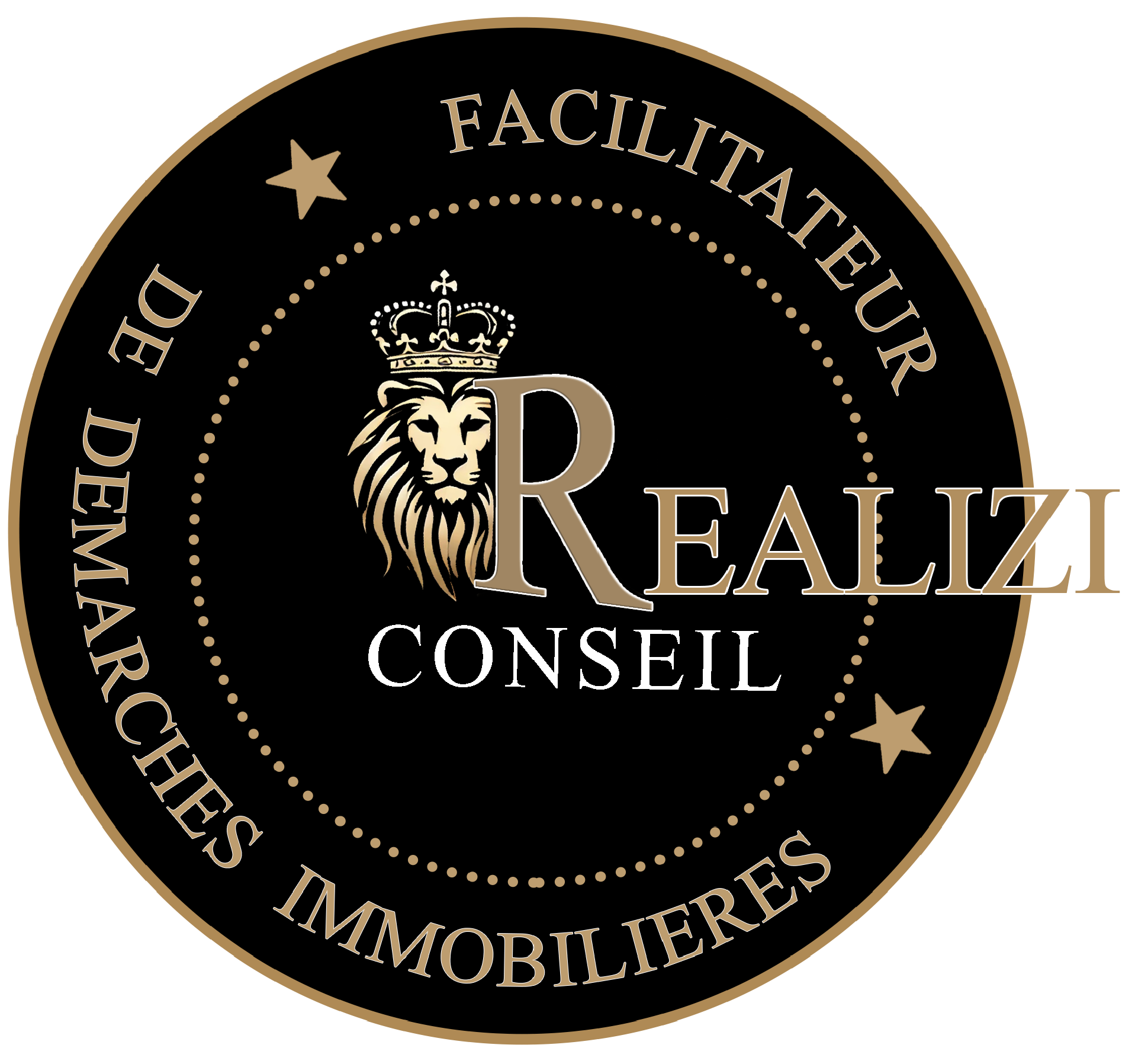 realiziconseil-logo-website